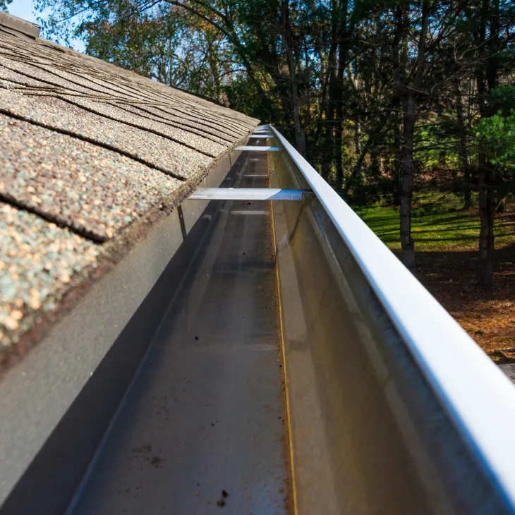 Gutter Cleaning